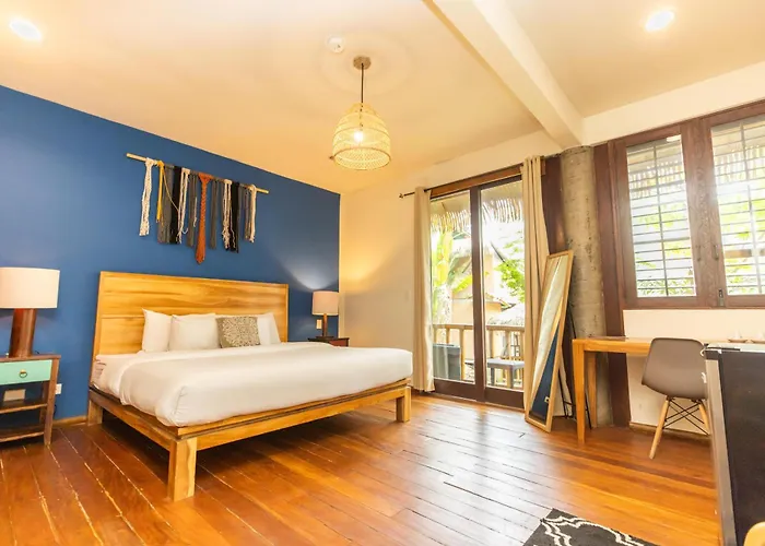 Socialtel Hotel